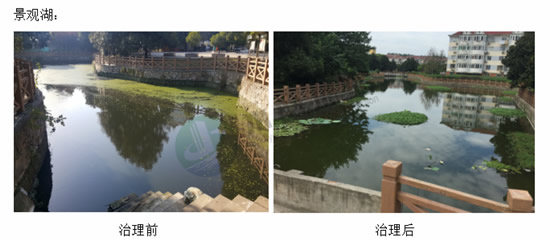 2018071662855297.jpg