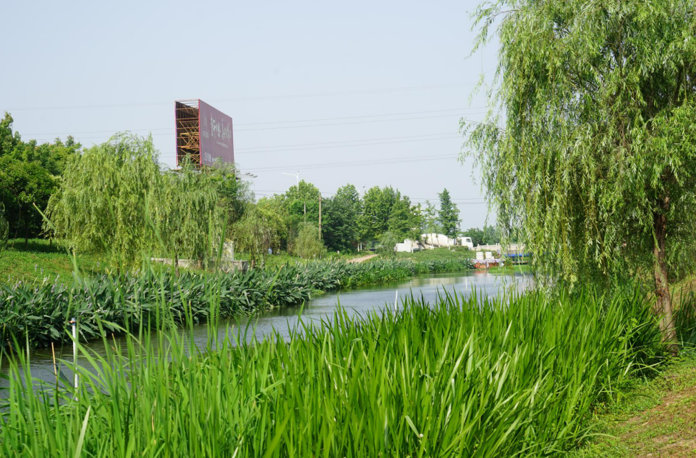 微信截圖_20200520090333.png