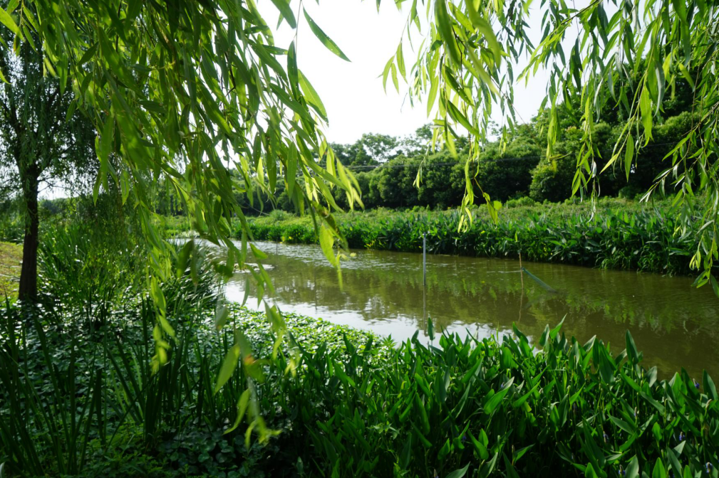 微信截圖_20200520090408.png