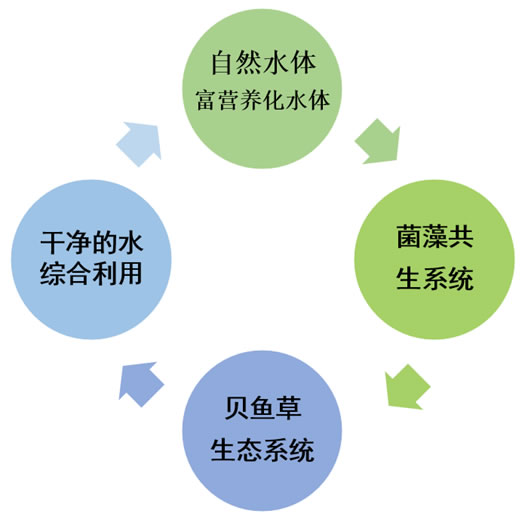 業(yè)務(wù)內(nèi)容 業(yè)務(wù)內(nèi)容